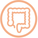 Gastrointestinal conditions Icon